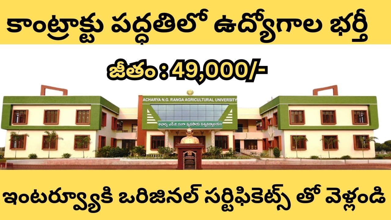 ANGRAU Contract Basis Jobs Recruitment