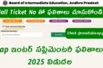 AP Inter Supplementary Results 2025